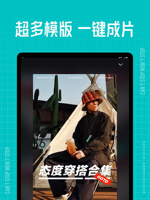 猫咪在铺满枫叶的透明泡泡中追逐光点壁纸